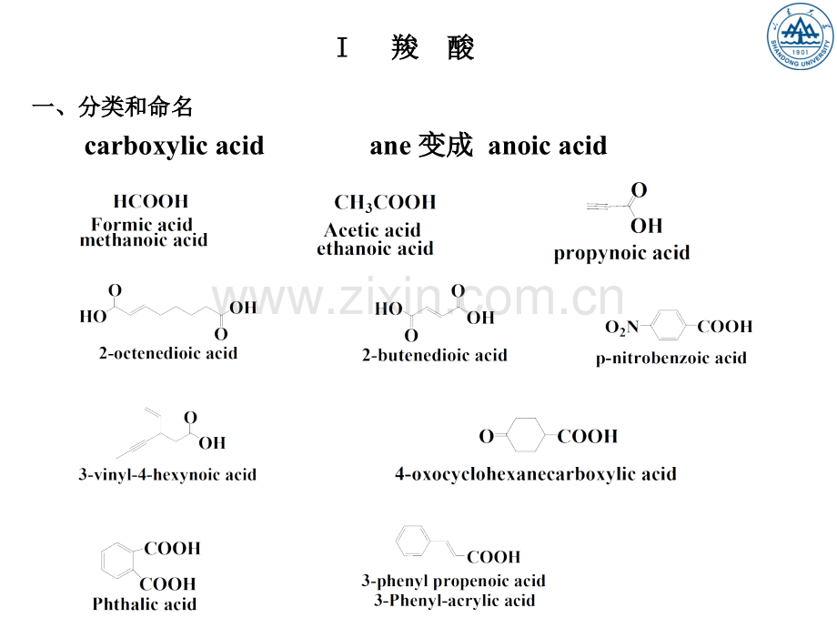 十羧酸及其衍生物.pptx_第1页