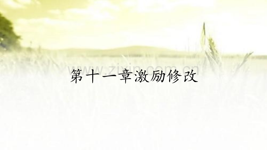 第十一章激励修改.pptx_第1页