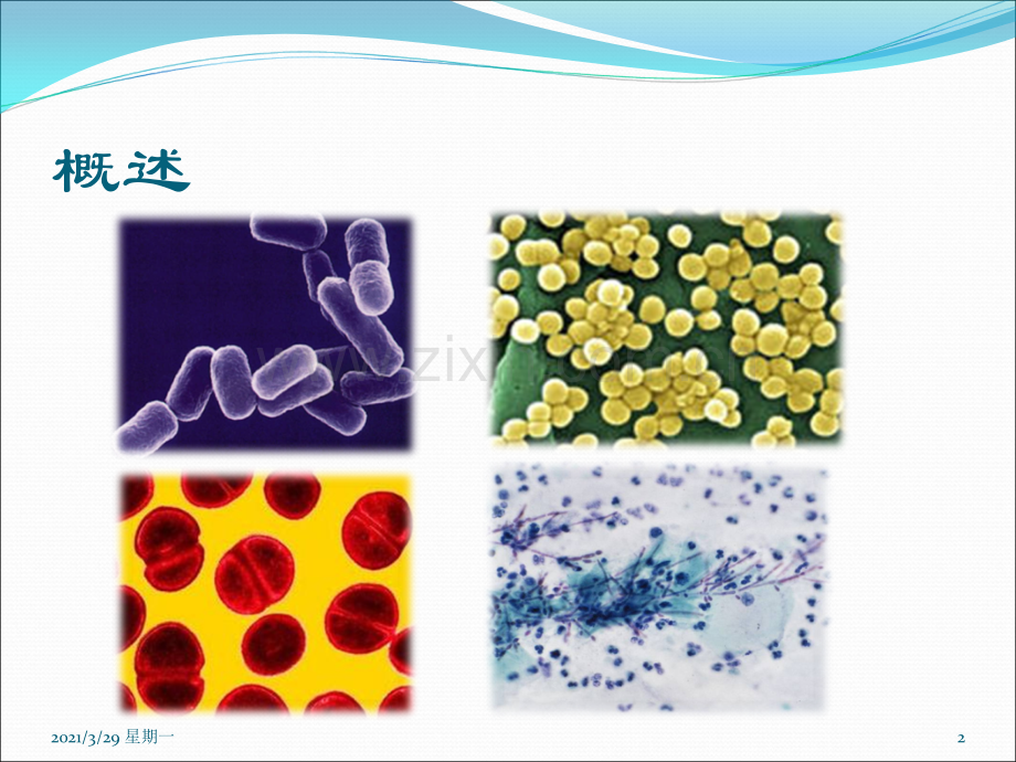 临床药理学-第二十四章-抗菌药的合理应用(2015.05.19厦大药学系临床药理学).ppt_第2页