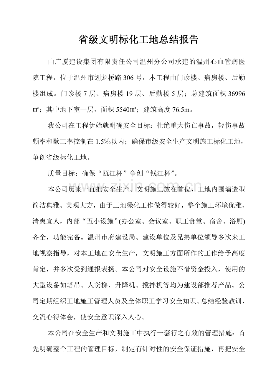 省级文明标化工地总结报告.doc_第2页