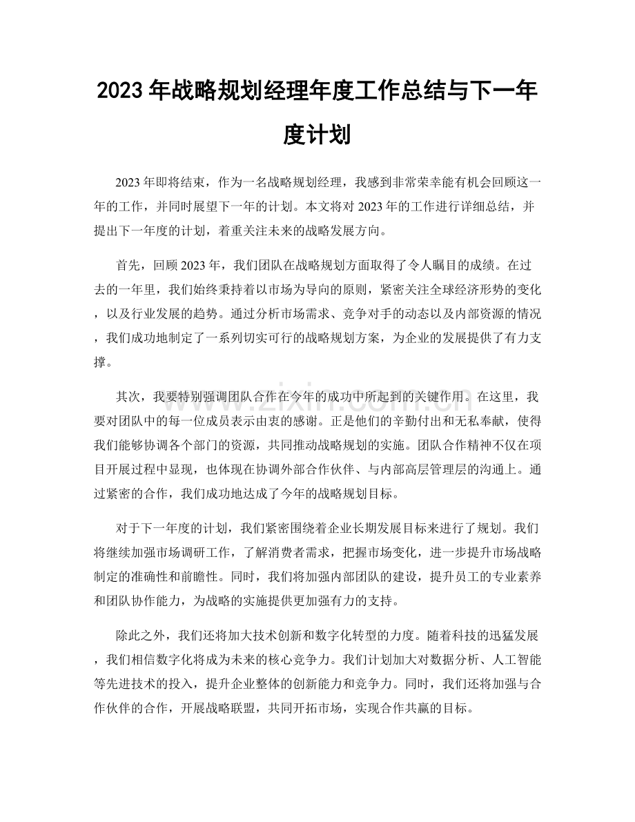 2023年战略规划经理年度工作总结与下一年度计划.docx_第1页