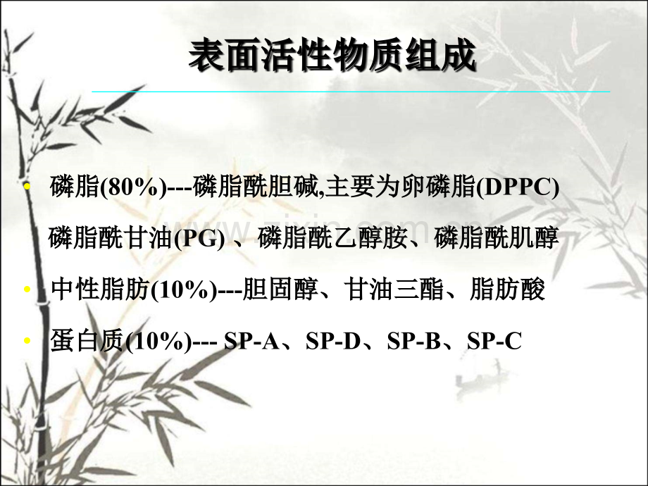肺表面活性物质研究进展.pptx_第2页