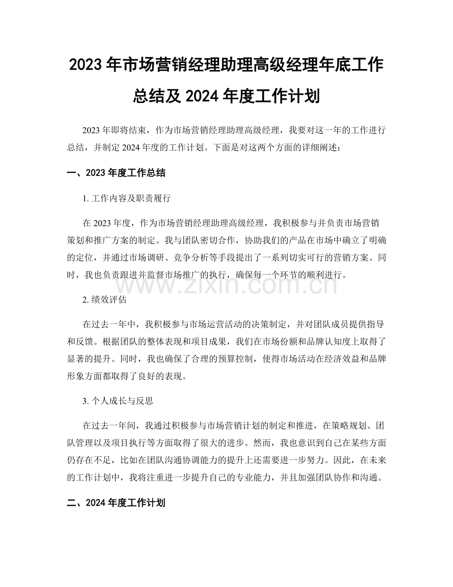 2023年市场营销经理助理高级经理年底工作总结及2024年度工作计划.docx_第1页