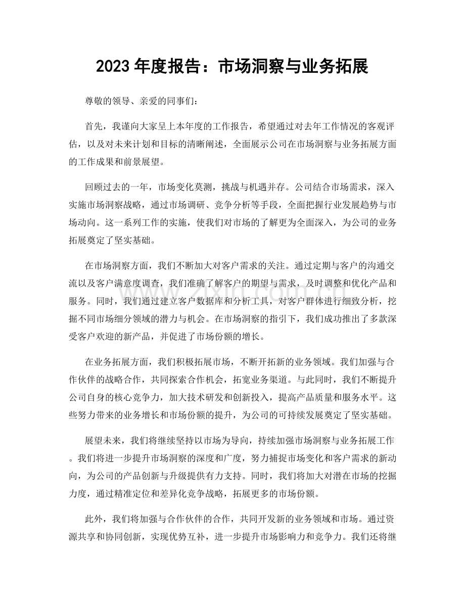 2023年度报告：市场洞察与业务拓展.docx_第1页