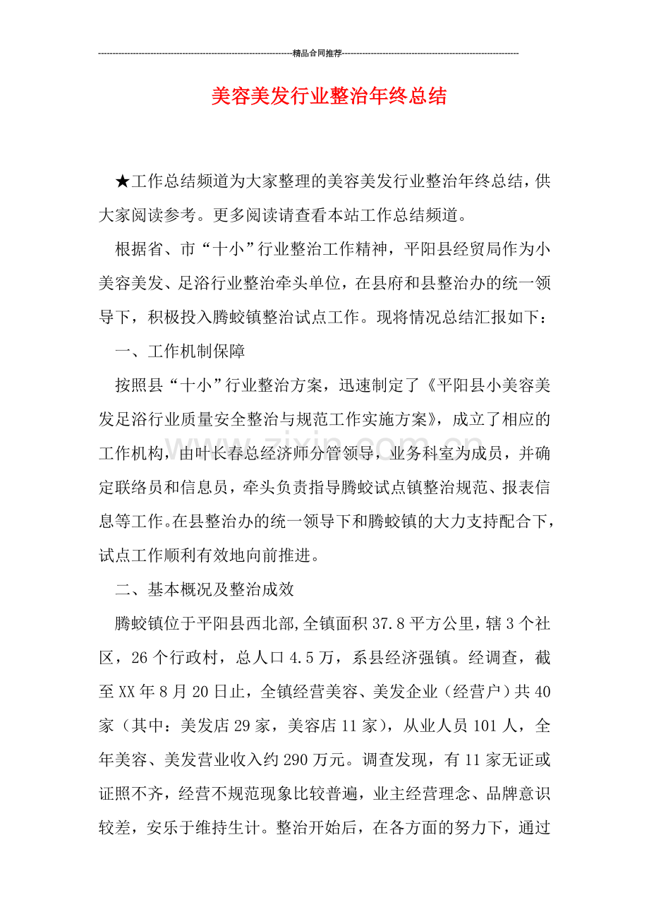 美容美发行业整治年终总结.doc_第1页