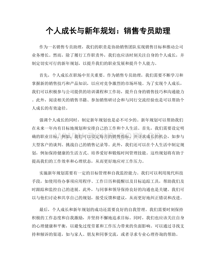 个人成长与新年规划：销售专员助理.docx_第1页