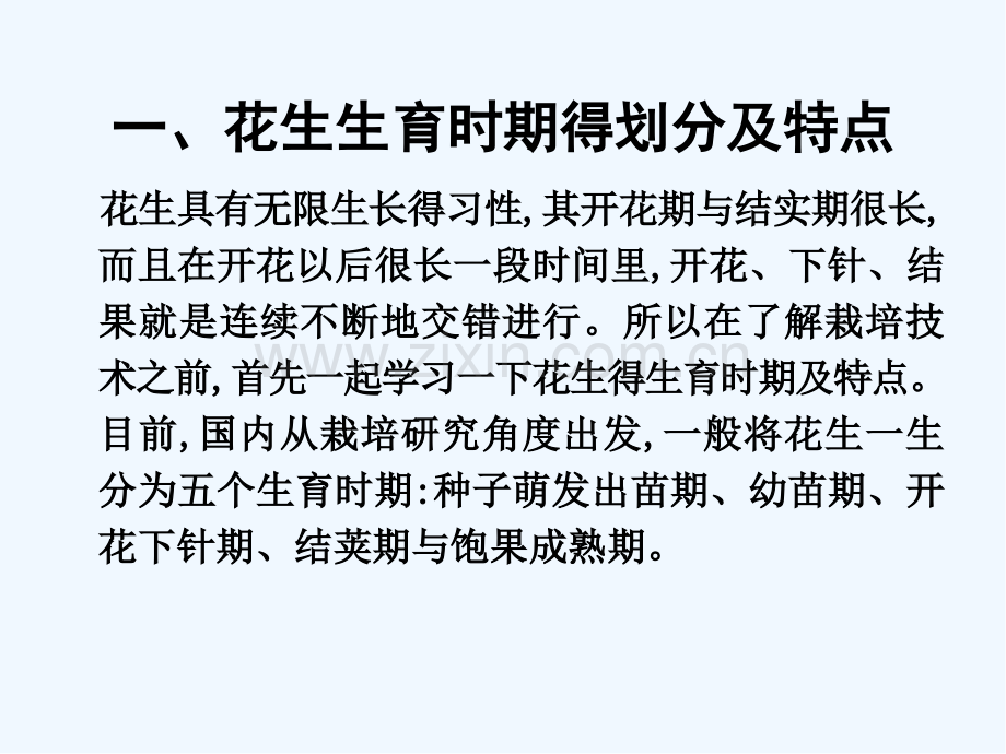 花生基层培训ppt.pptx_第2页