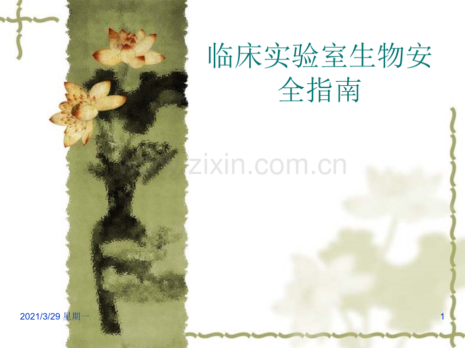 临床实验室生物安全指南.ppt_第1页