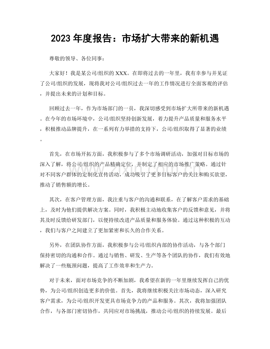 2023年度报告：市场扩大带来的新机遇.docx_第1页