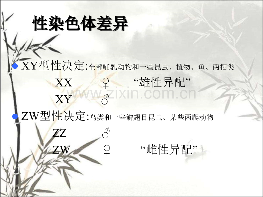 伴性遗传补充.pptx_第2页