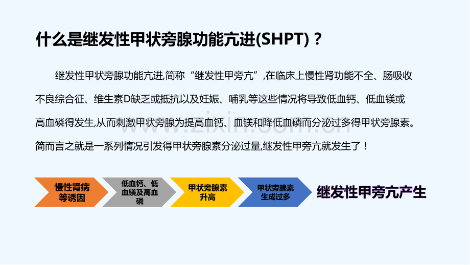认识继发性甲旁亢-PPT.pptx_第2页