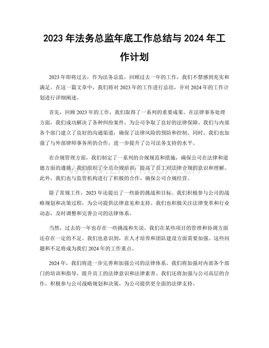 2023年法务总监年底工作总结与2024年工作计划.docx_第1页