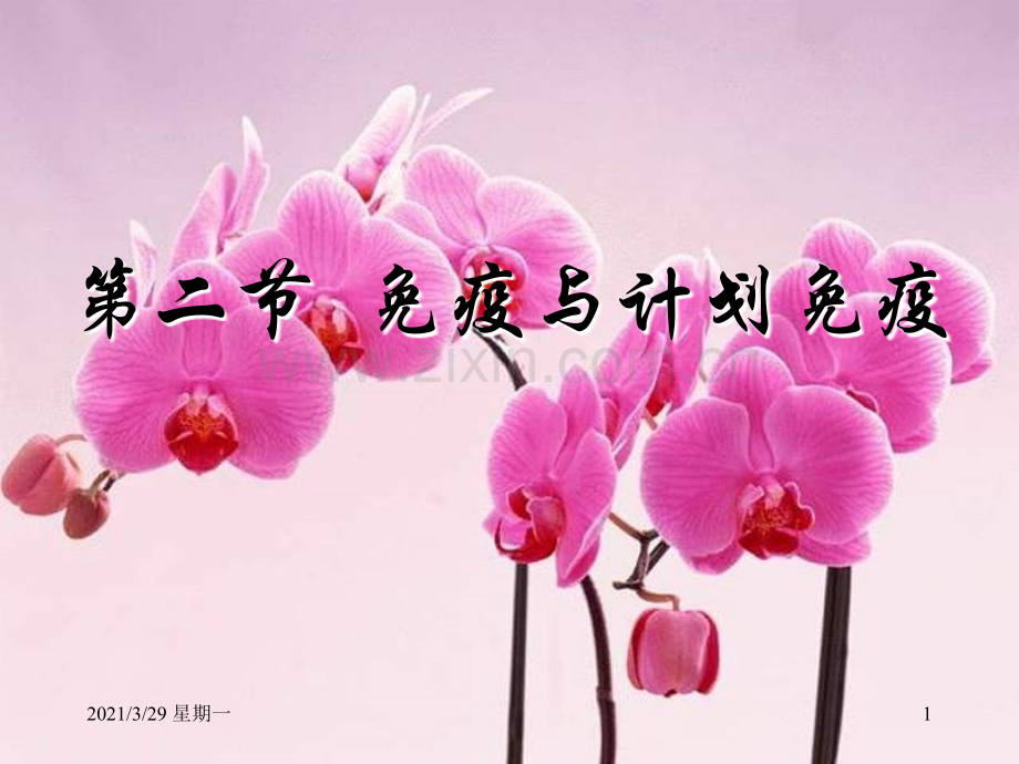 新人教版八年级下册8单元第一章第二节-免疫与计划免疫【优质PPT】.ppt_第1页