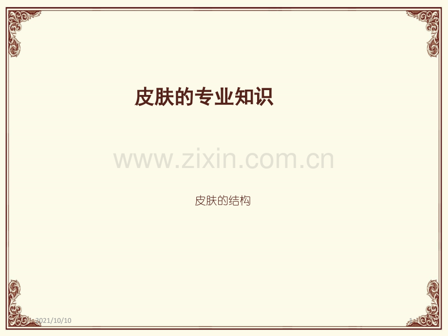 中医美容皮肤的专业知识.ppt_第1页
