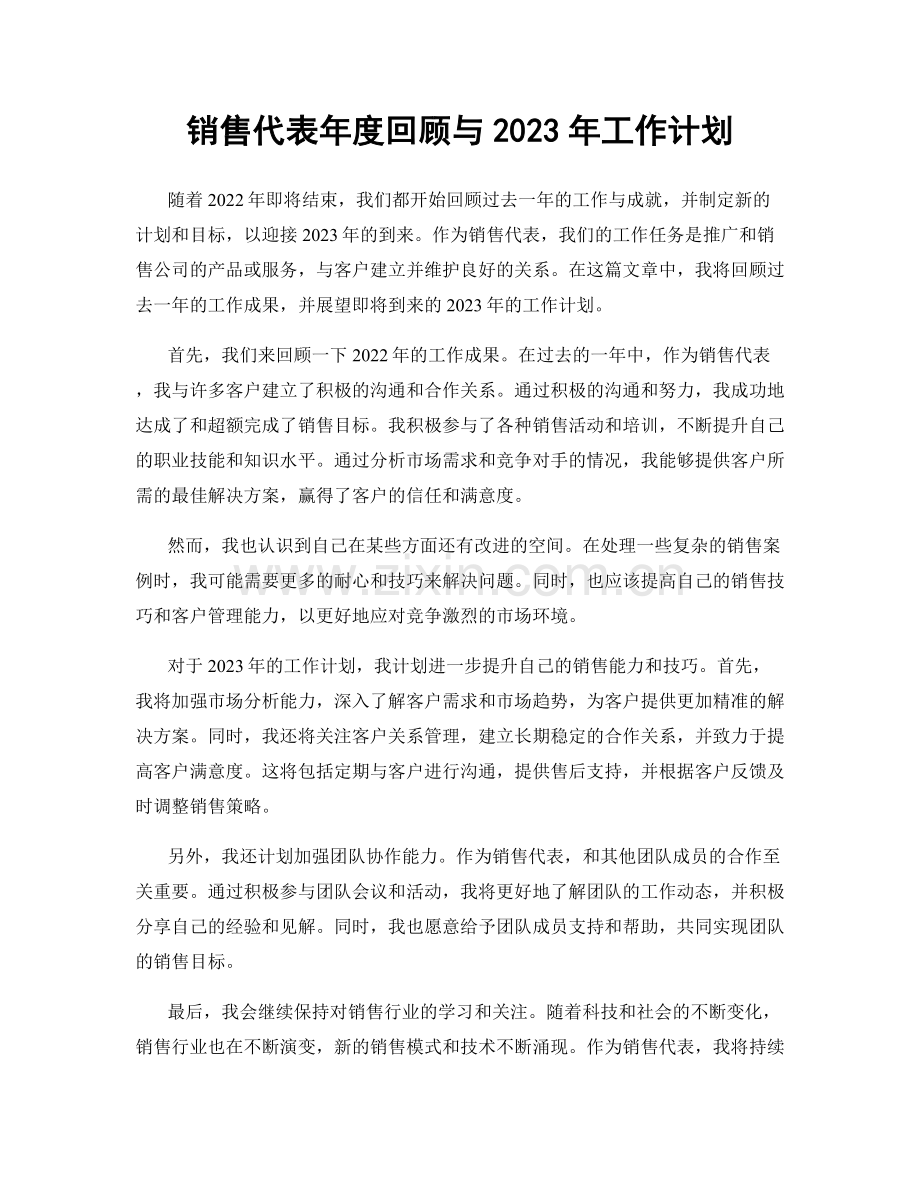 销售代表年度回顾与2023年工作计划.docx_第1页