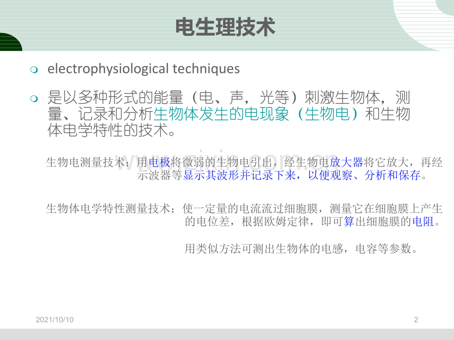 视觉电生理VEP--ERG.ppt_第2页