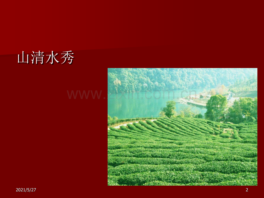 茶叶的感官品尝.ppt_第2页