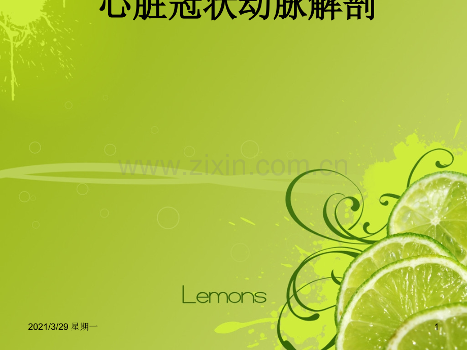 心脏冠状动脉解剖.ppt_第1页