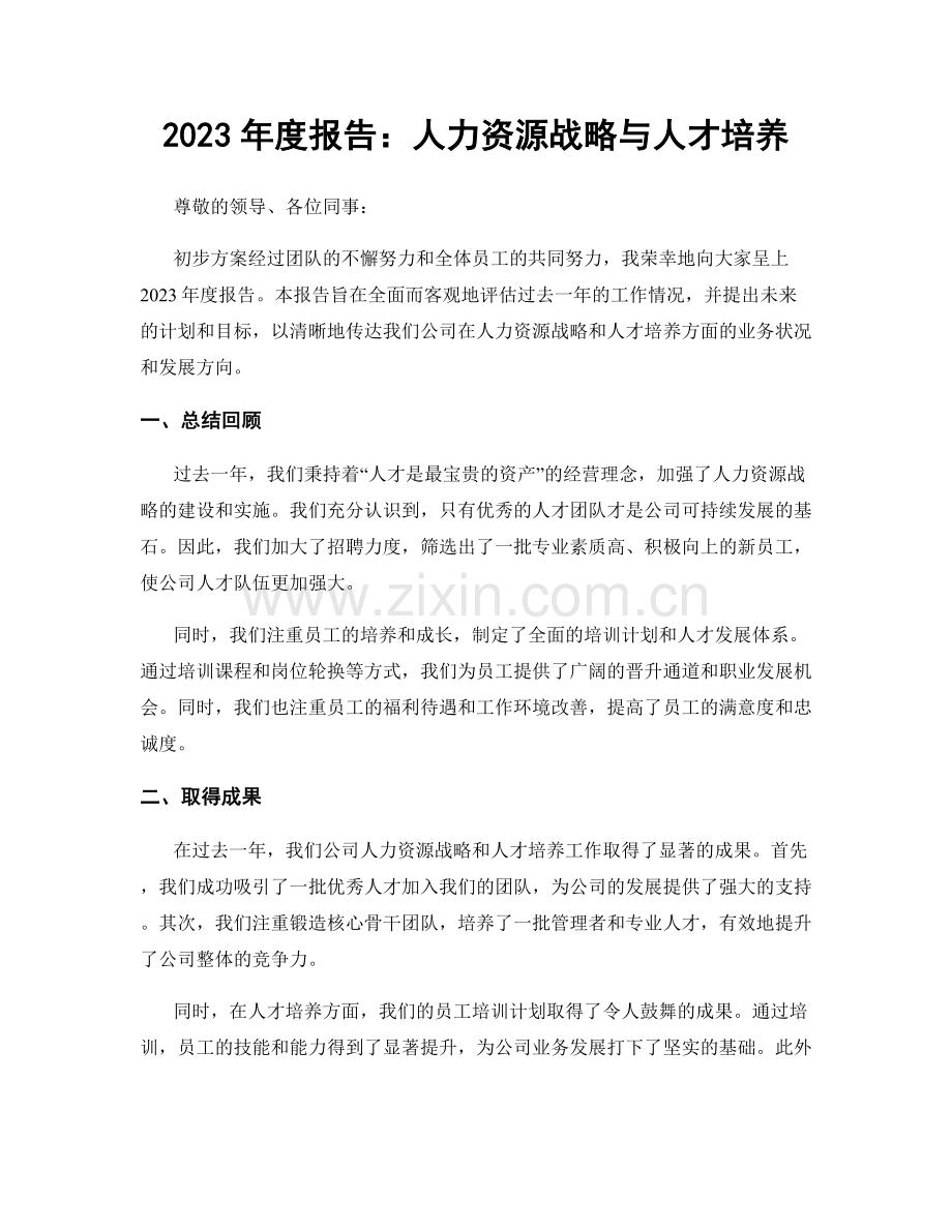 2023年度报告：人力资源战略与人才培养.docx_第1页