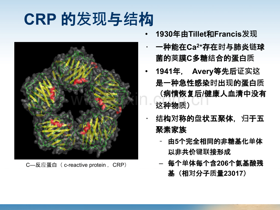 血常规和C-反应蛋白检测的临床意义.ppt_第2页