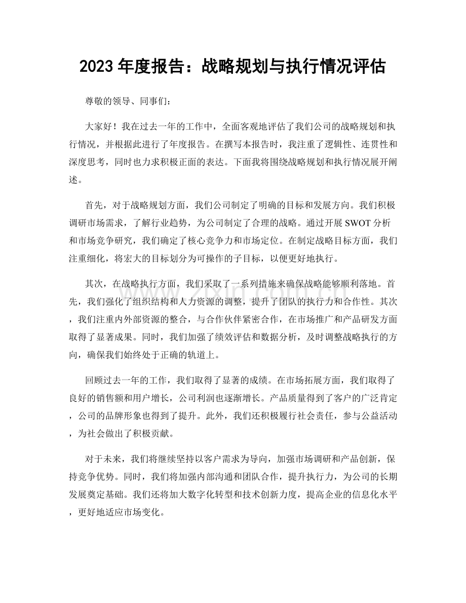2023年度报告：战略规划与执行情况评估.docx_第1页