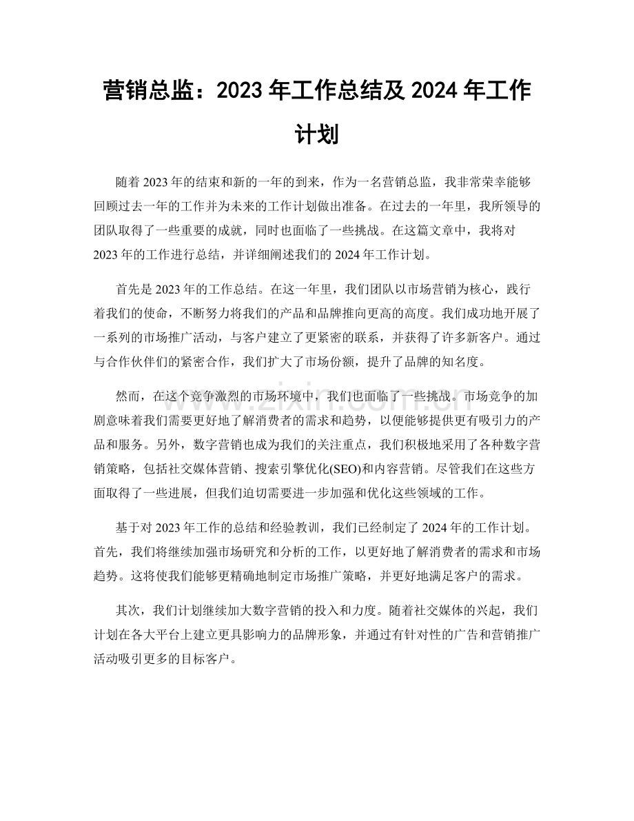 营销总监：2023年工作总结及2024年工作计划.docx_第1页