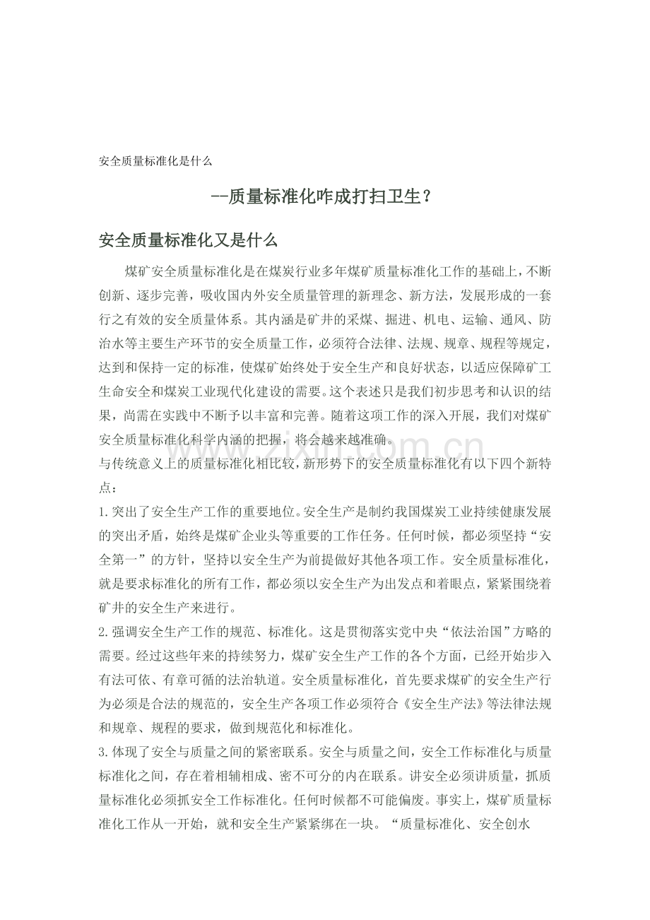 安全质量标准化是什么..doc_第1页