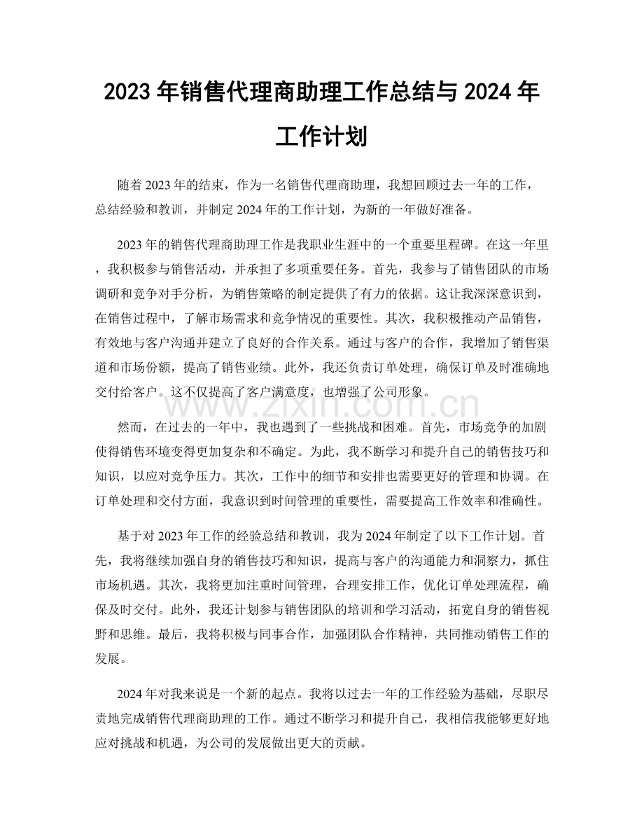2023年销售代理商助理工作总结与2024年工作计划.docx_第1页