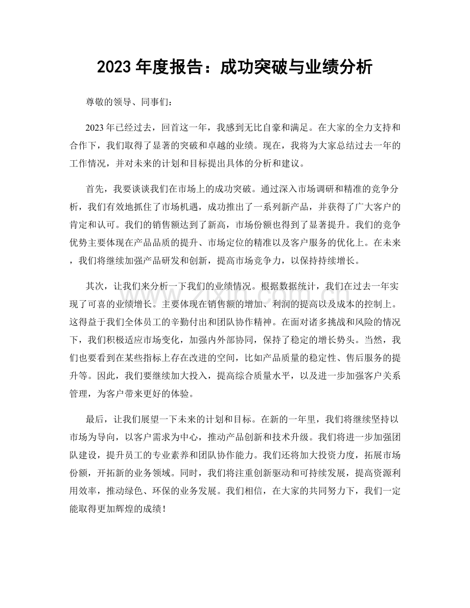 2023年度报告：成功突破与业绩分析.docx_第1页