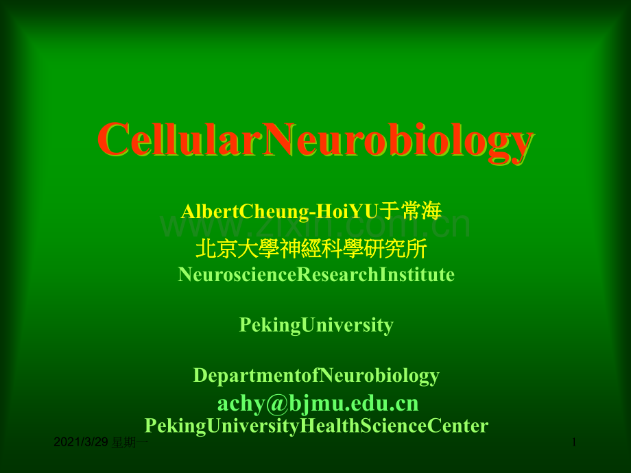 北大神经生物学课件2神经元和神经胶质细胞-神经元.ppt_第1页