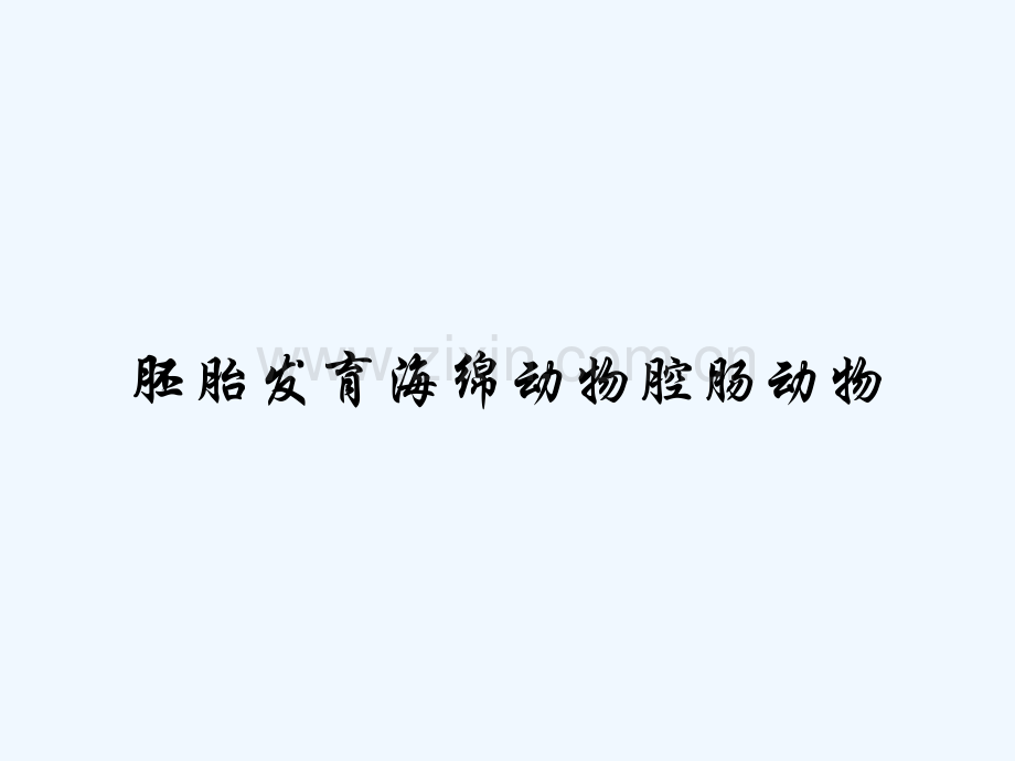 胚胎发育海绵动物腔肠动物-PPT.pptx_第1页