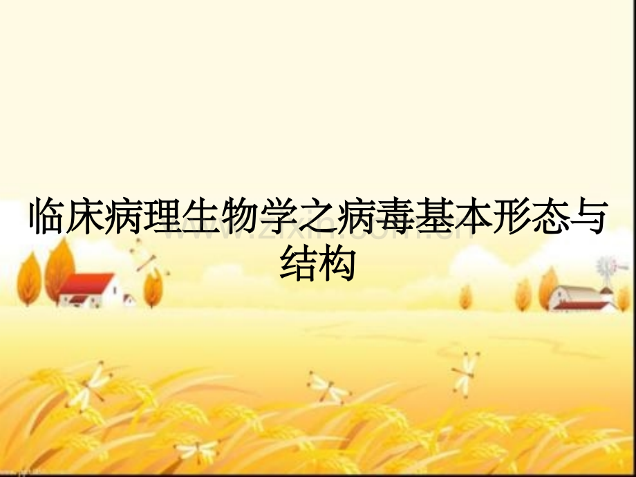 临床病理生物学之病毒基本形态与结构.pptx_第1页