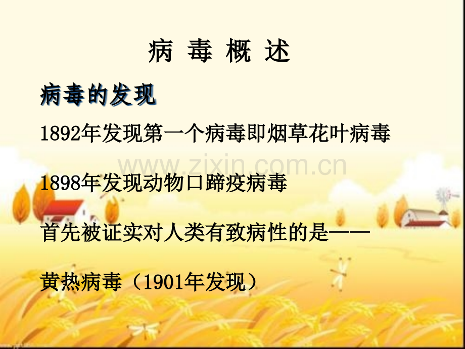 临床病理生物学之病毒基本形态与结构.pptx_第2页