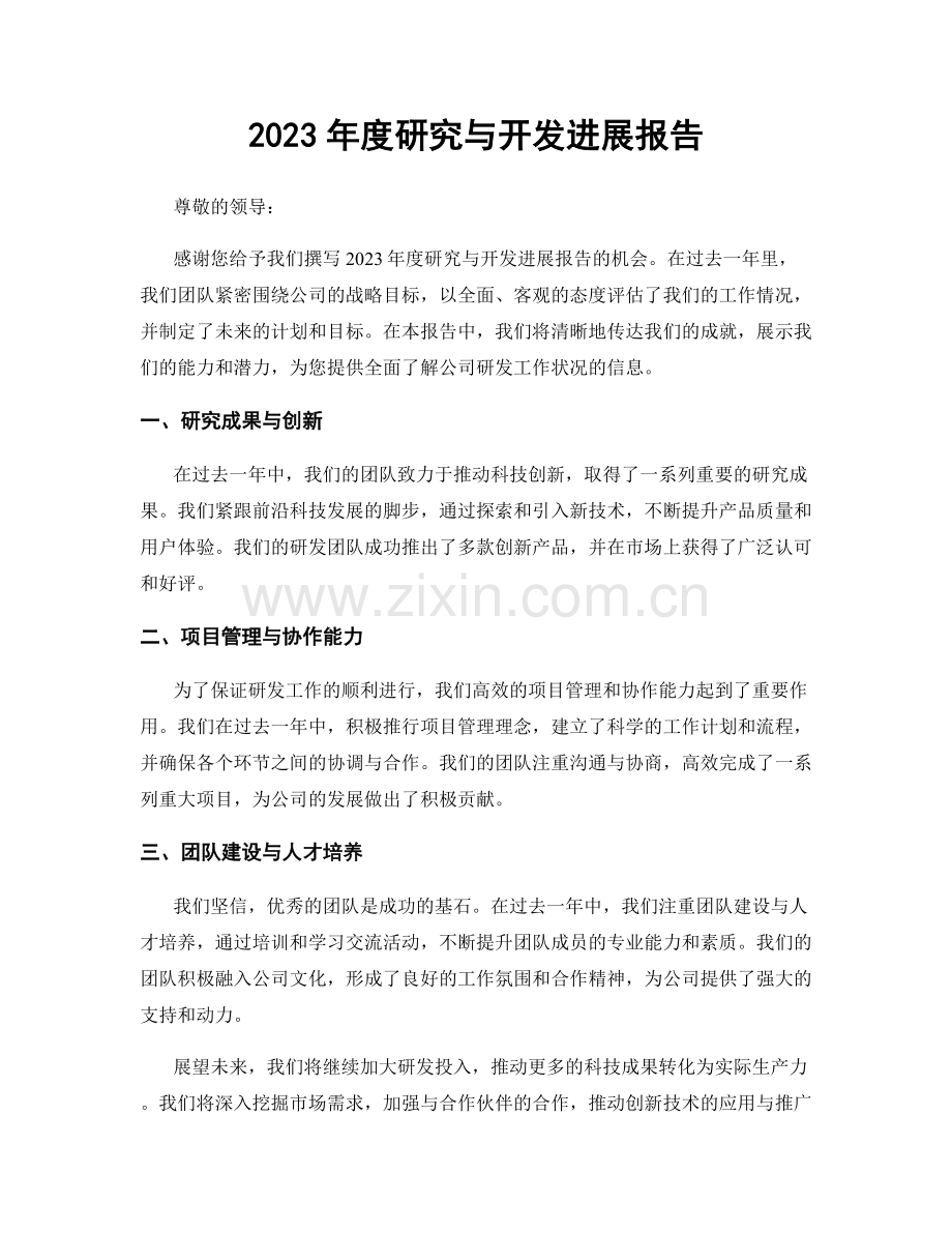 2023年度研究与开发进展报告.docx_第1页