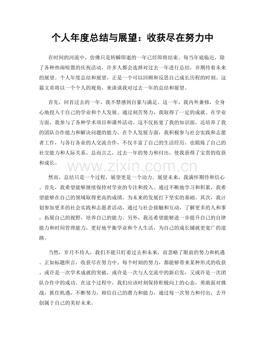 个人年度总结与展望：收获尽在努力中.docx_第1页