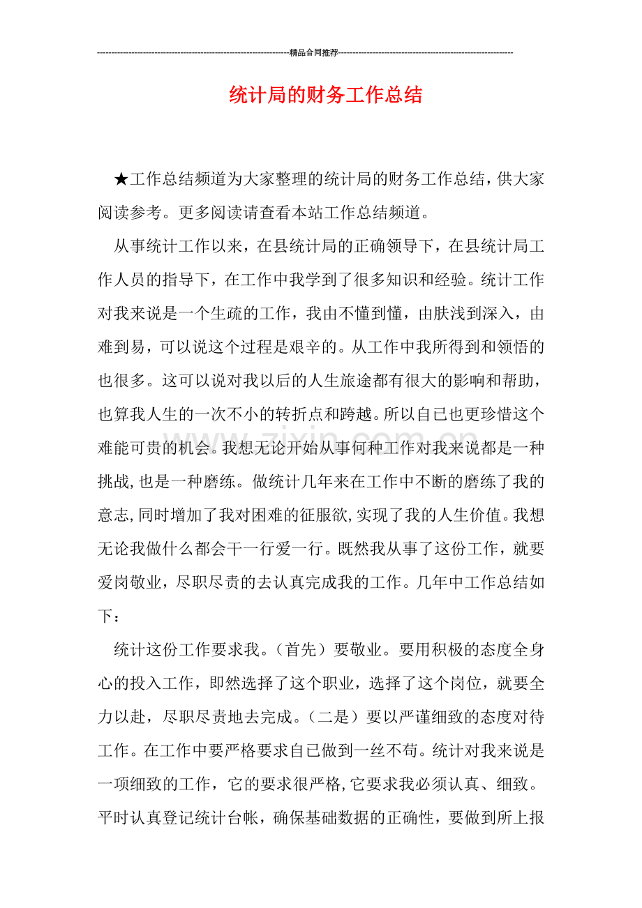 统计局的财务工作总结.doc_第1页