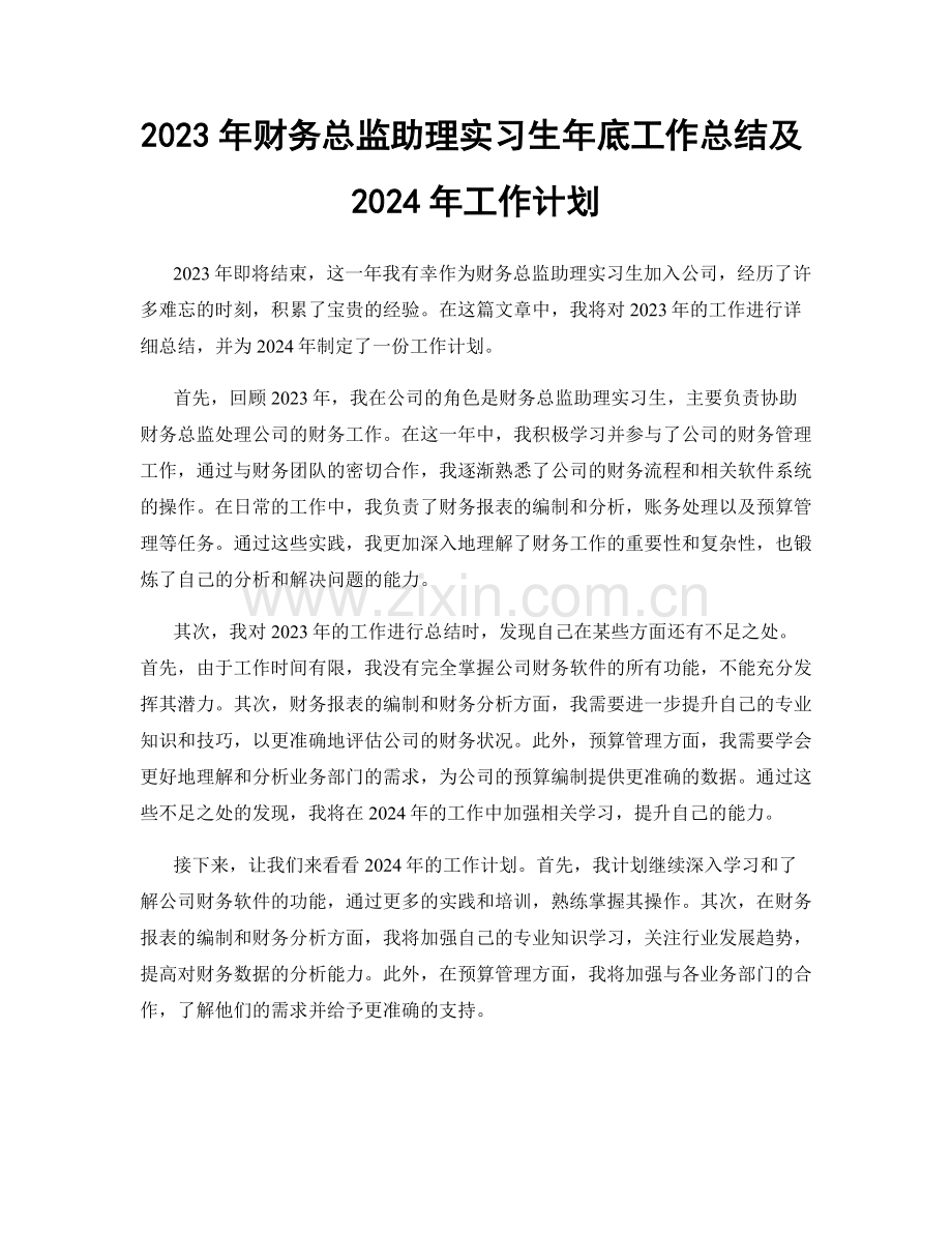 2023年财务总监助理实习生年底工作总结及2024年工作计划.docx_第1页