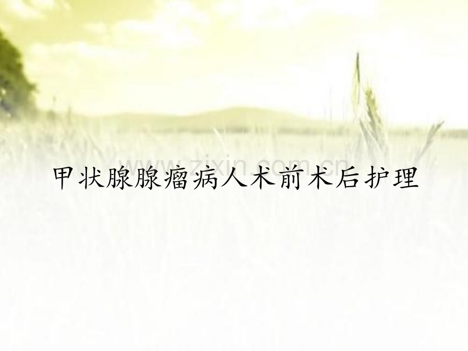 甲状腺腺瘤病人术前术后护理.pptx_第1页