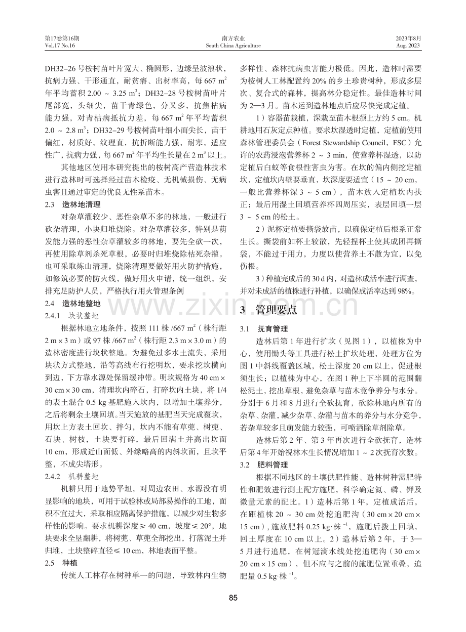 广西国有黄冕林场桉树高产营造林技术及管理要点.pdf_第2页