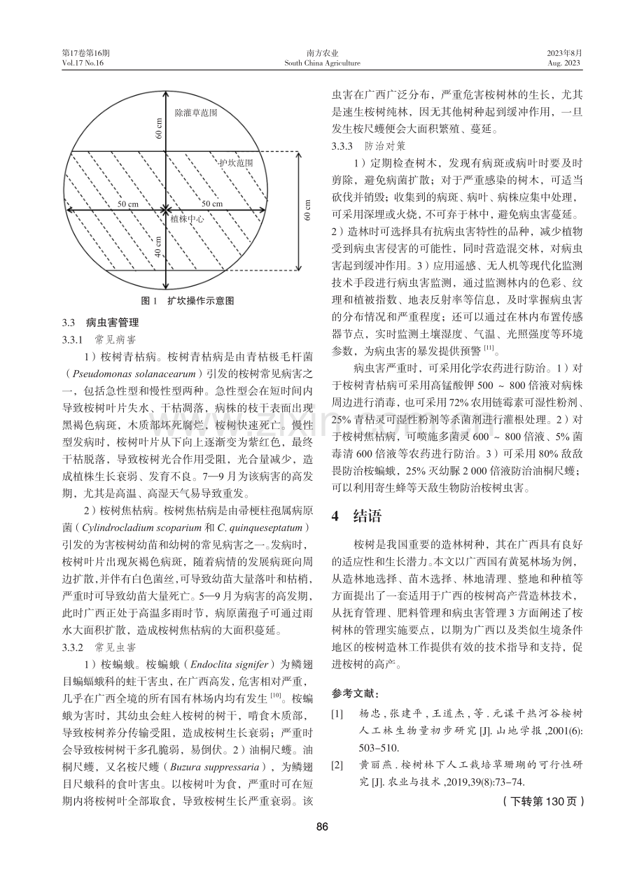 广西国有黄冕林场桉树高产营造林技术及管理要点.pdf_第3页