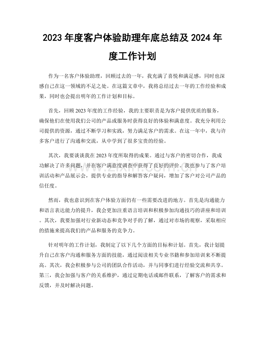 2023年度客户体验助理年底总结及2024年度工作计划.docx_第1页