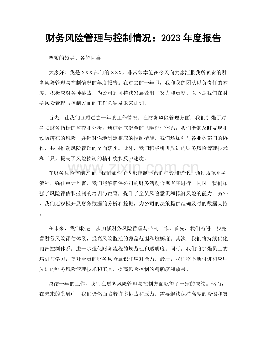 财务风险管理与控制情况：2023年度报告.docx_第1页