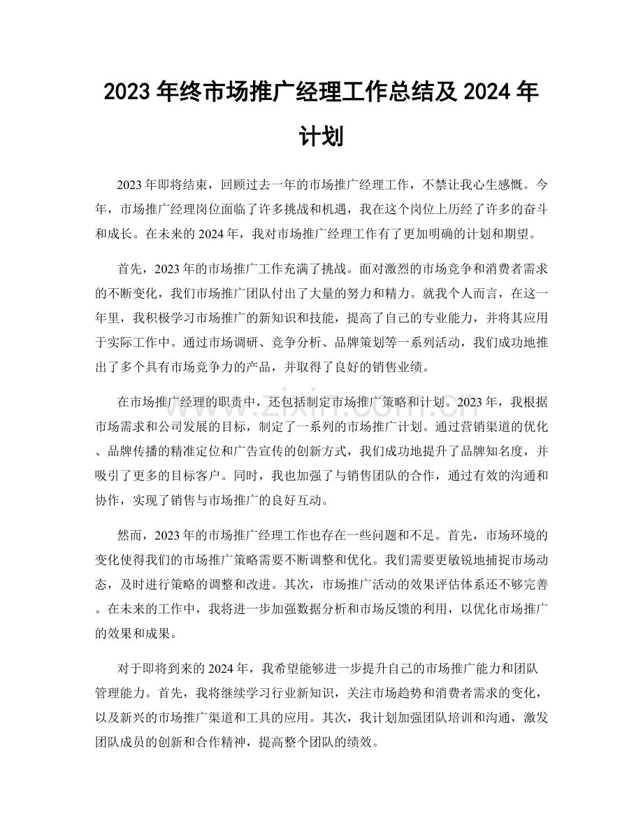 2023年终市场推广经理工作总结及2024年计划.docx_第1页