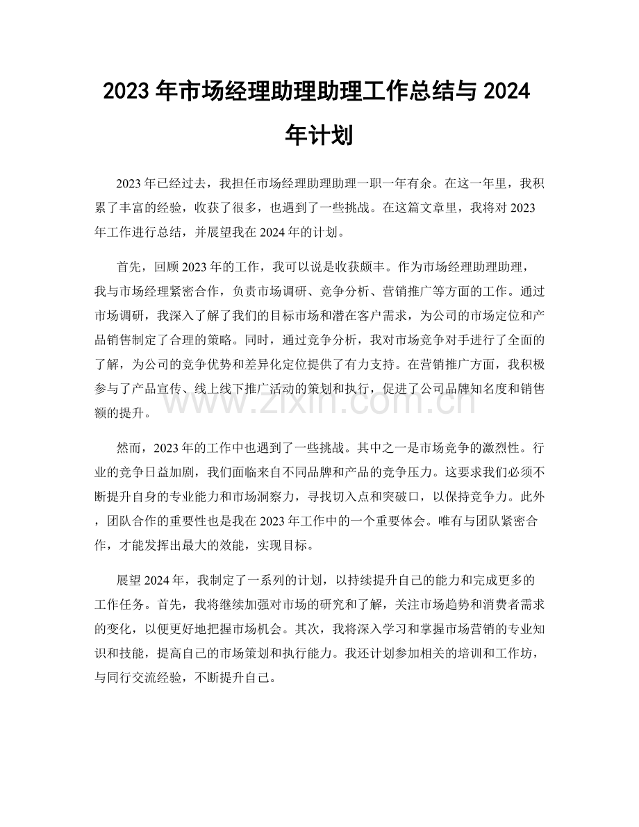 2023年市场经理助理助理工作总结与2024年计划.docx_第1页