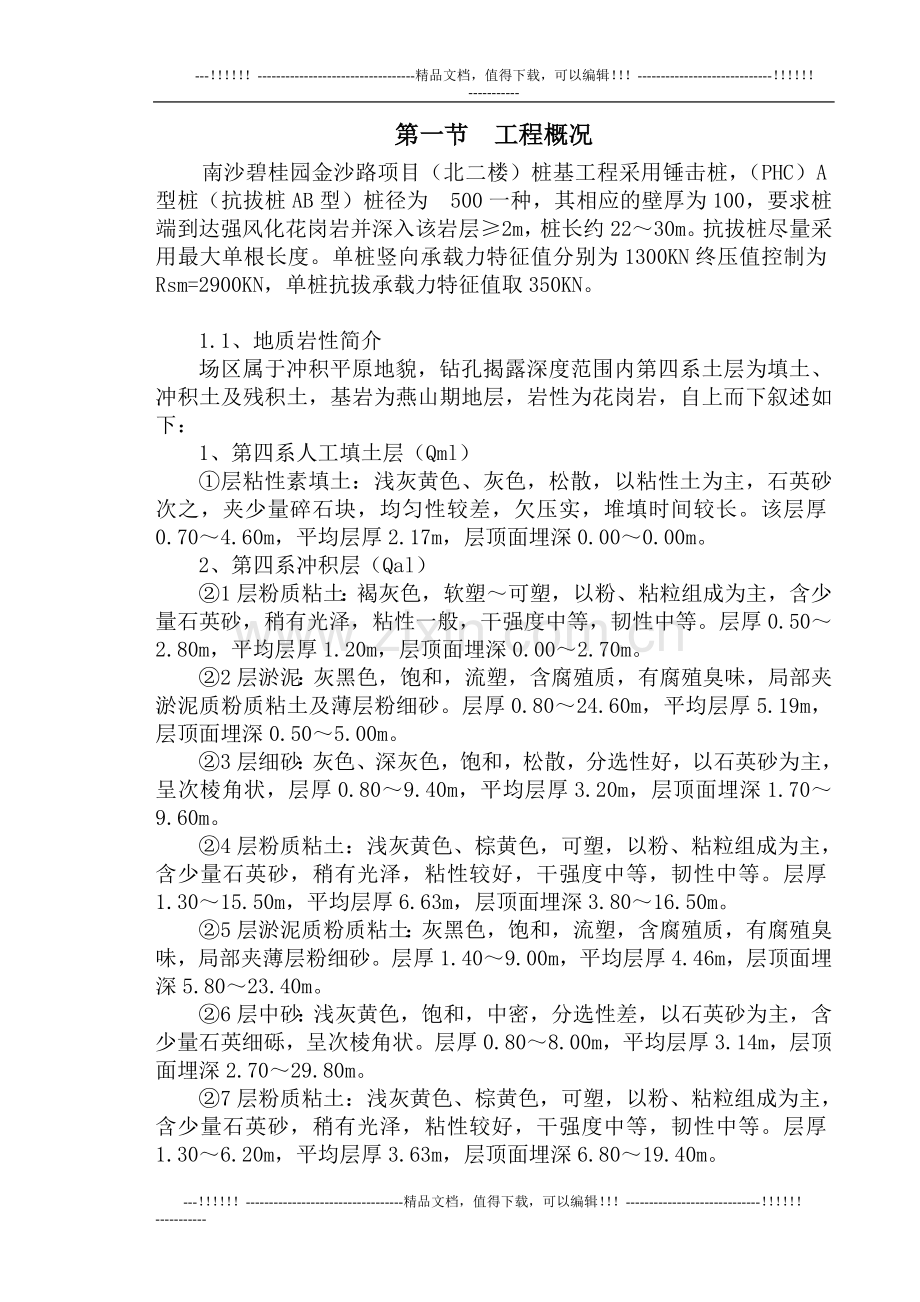 三类桩处理方案.doc_第2页
