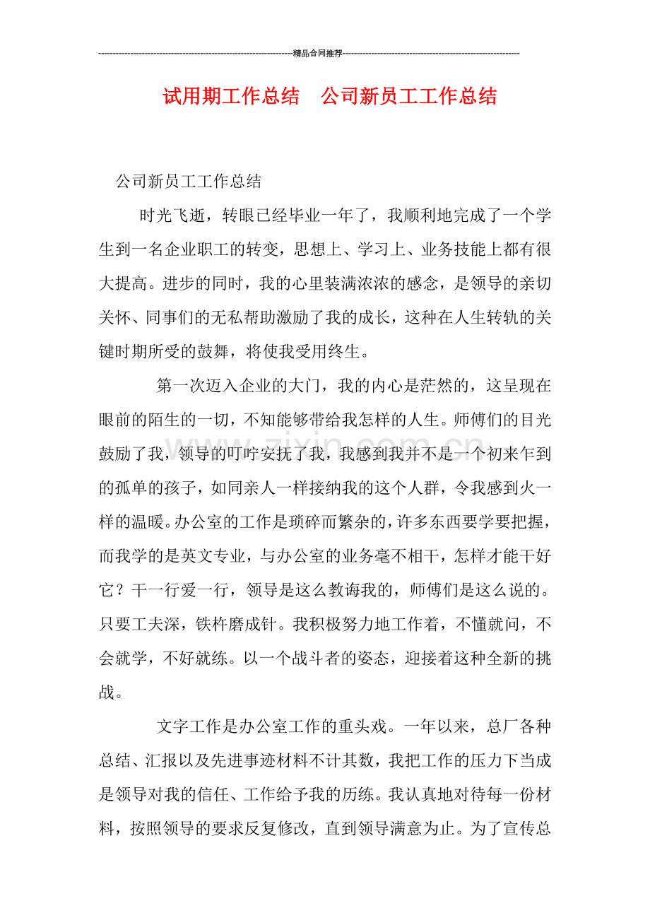 试用期工作总结--公司新员工工作总结.doc_第1页