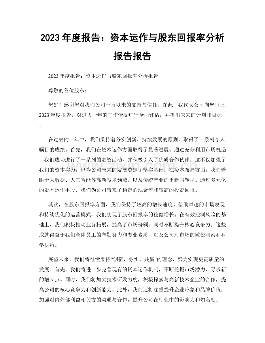 2023年度报告：资本运作与股东回报率分析报告报告.docx_第1页