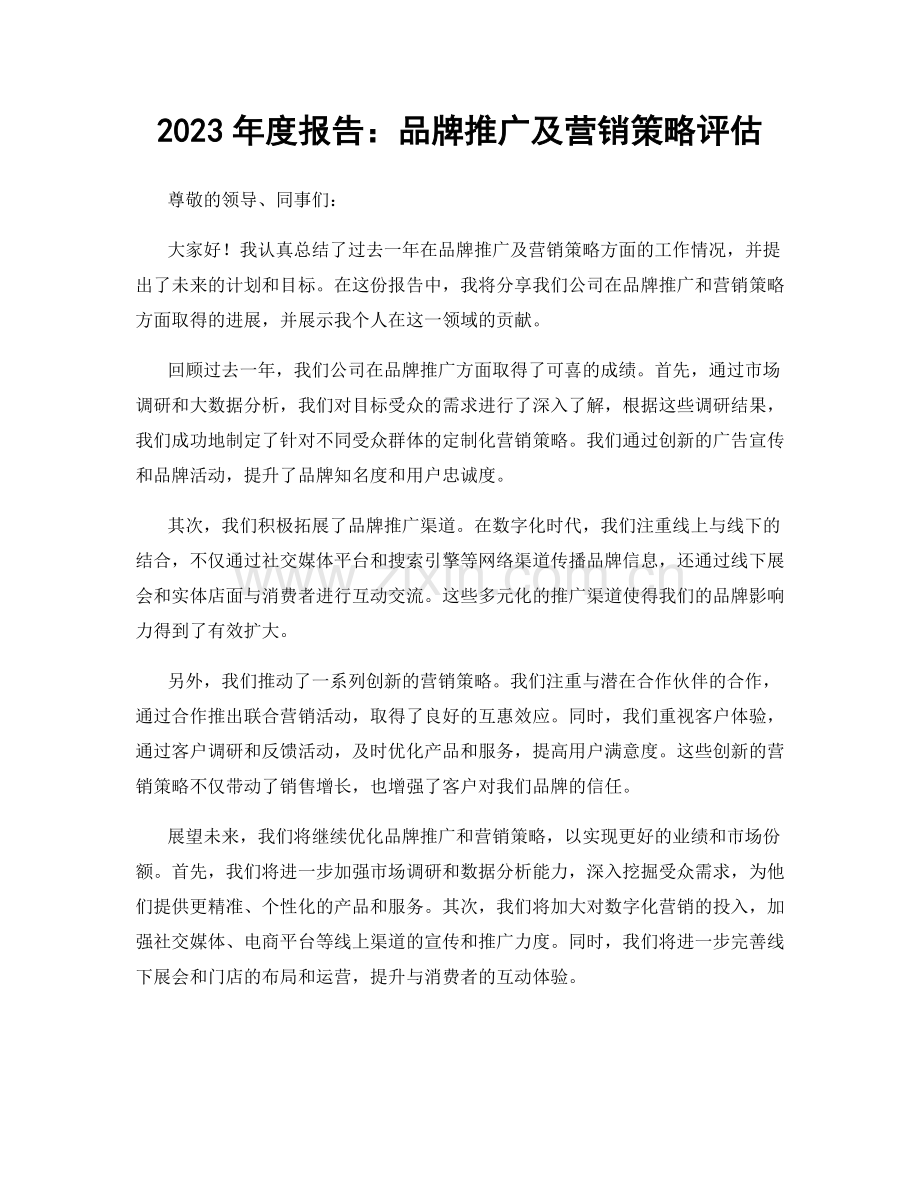 2023年度报告：品牌推广及营销策略评估.docx_第1页