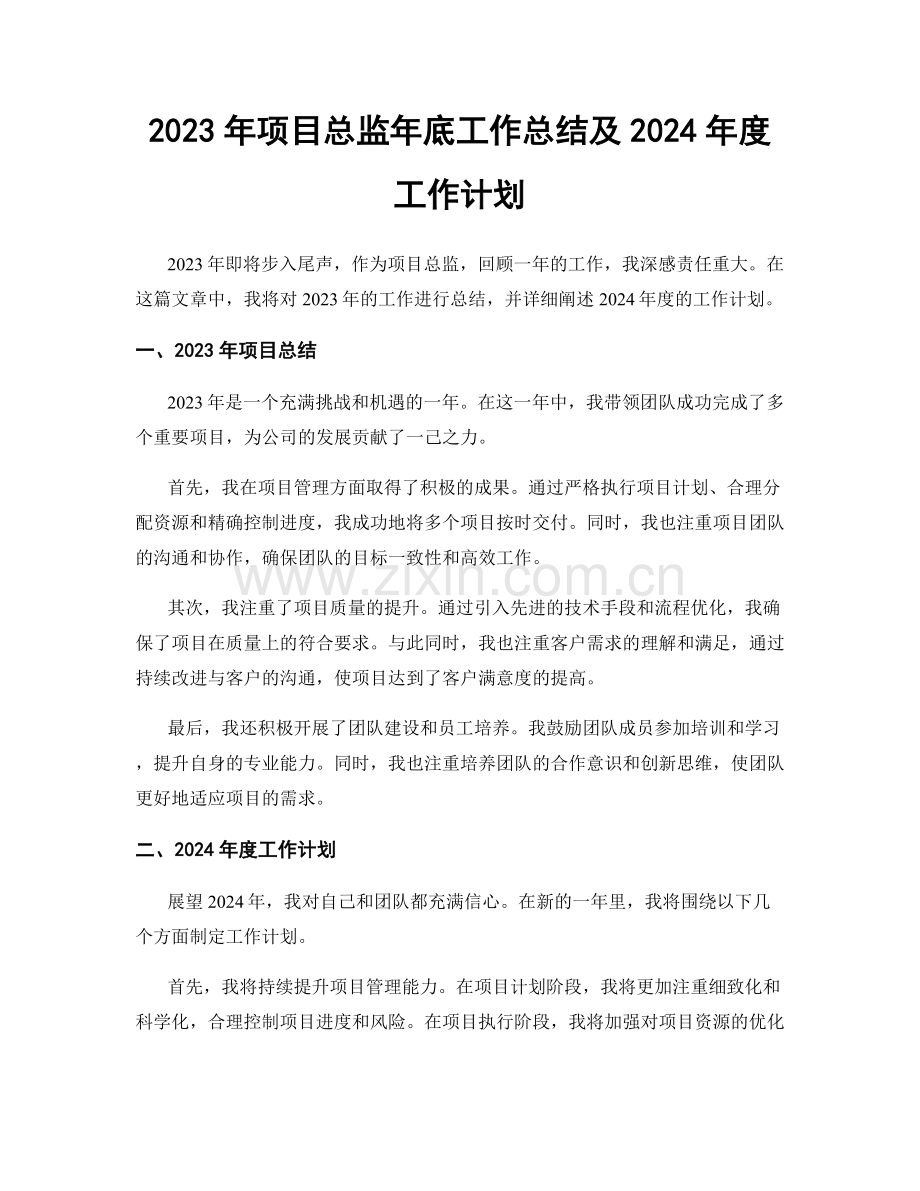 2023年项目总监年底工作总结及2024年度工作计划.docx_第1页