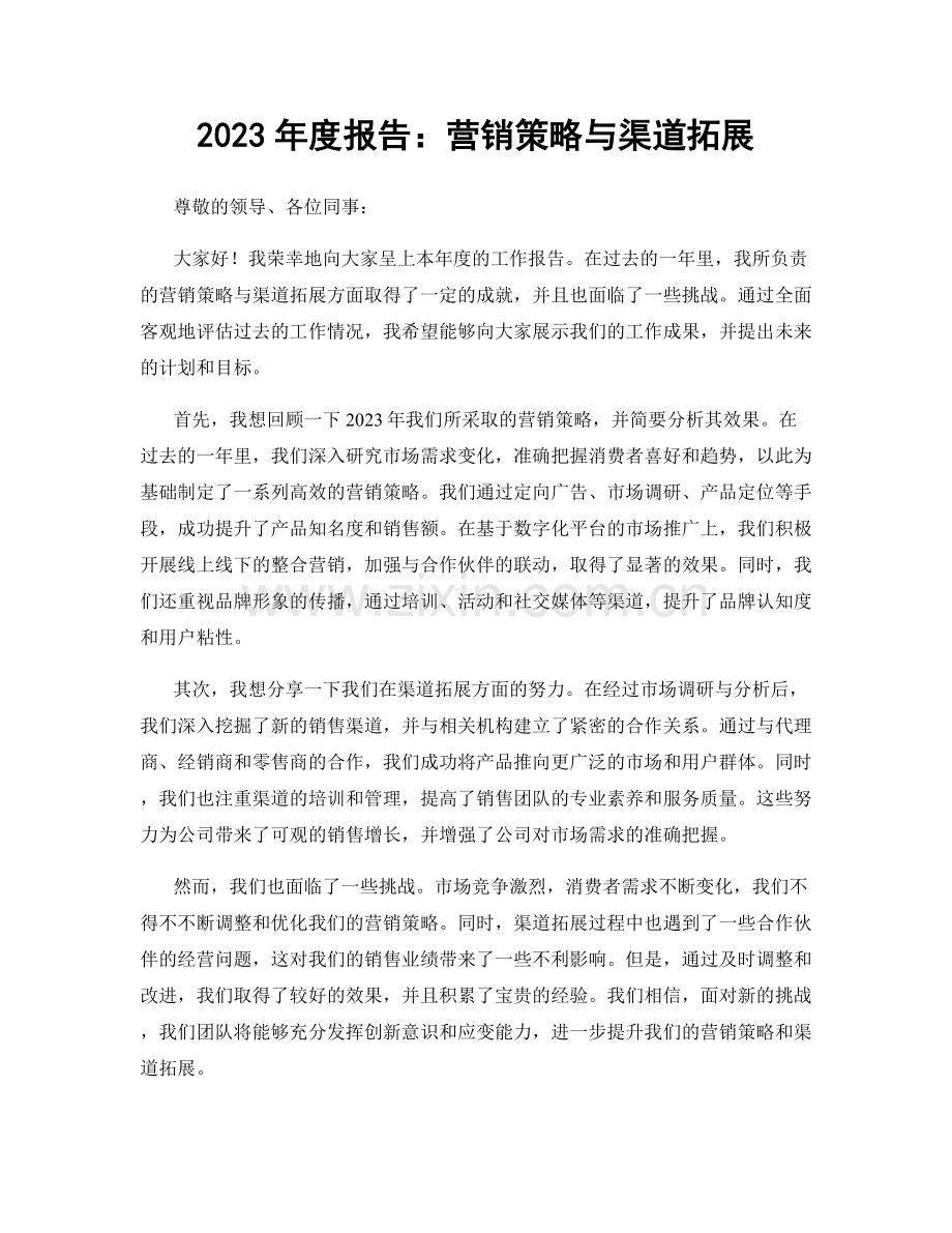 2023年度报告：营销策略与渠道拓展.docx_第1页